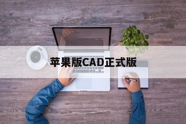 苹果版CAD正式版(cad苹果版下载安装)-第3张图片-QuickQ官网