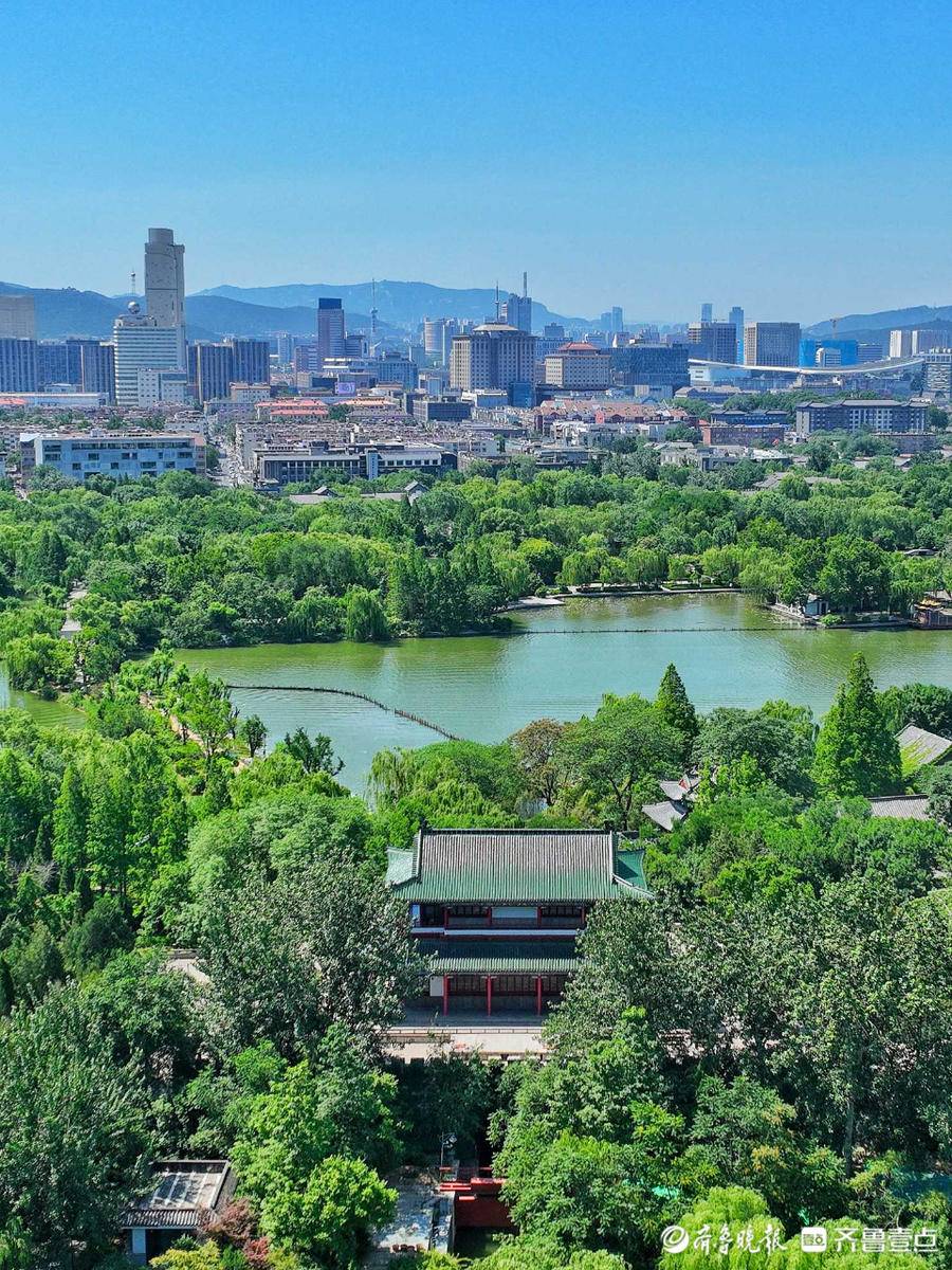 齐鲁晚报手机版客户端(齐鲁晚报手机版客户端下载)