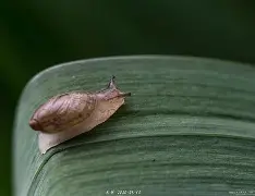 蜗牛加速器手机版下载(蜗牛网游加速器)-第4张图片-QuickQ官网 蜗牛加速器手机版下载(蜗牛网游加速器)-第4张图片-QuickQ官网