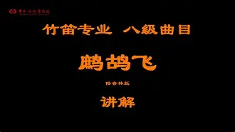 中阮专业调音器安卓版(中阮专业调音器下载安装)