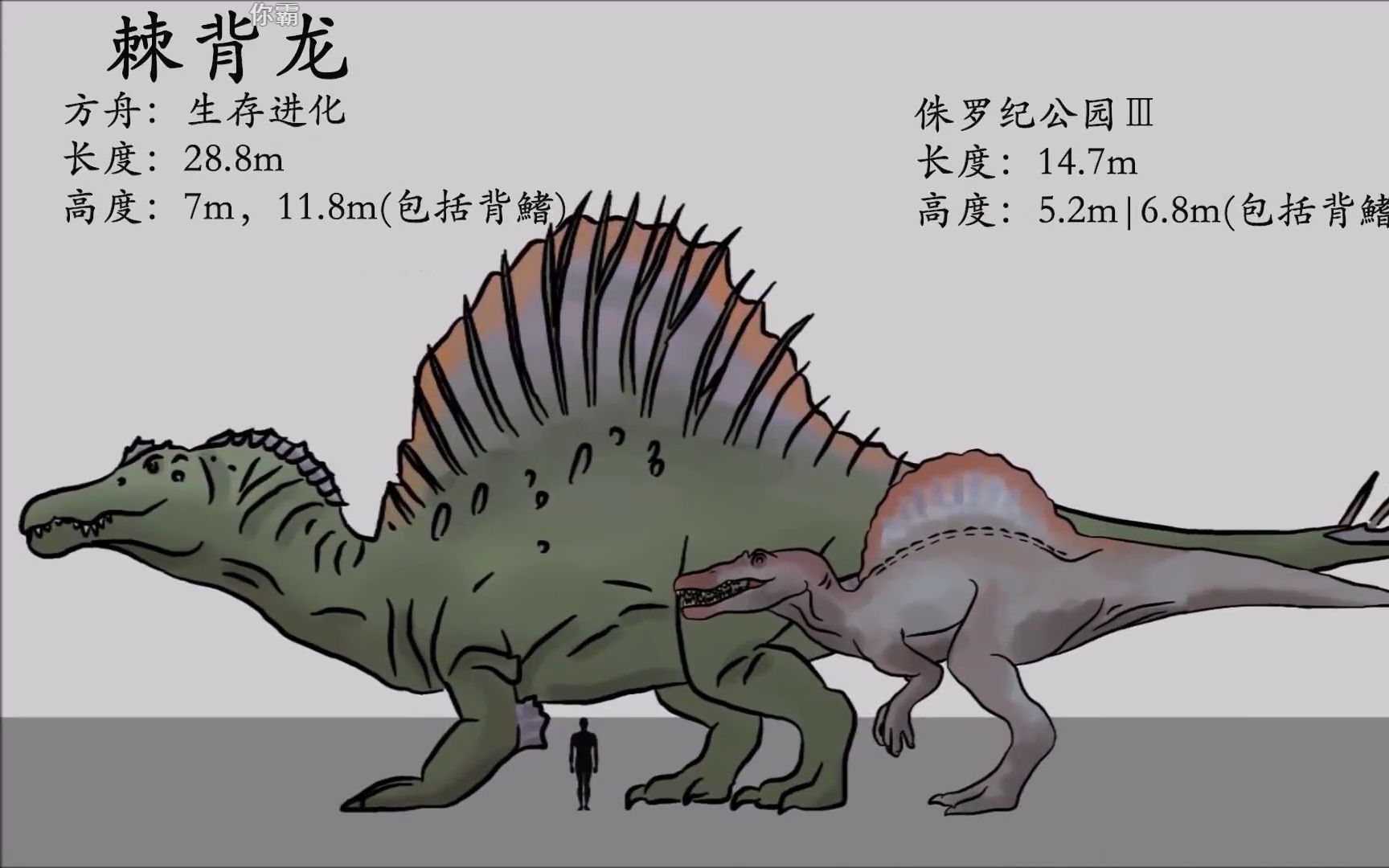 方舟手机版猎杀恐龙(方舟手机版如何驯服恐狼)-第3张图片-QuickQ官网