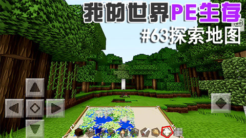 手机版生存怎么进去地图(手机版生存怎么进去地图里)